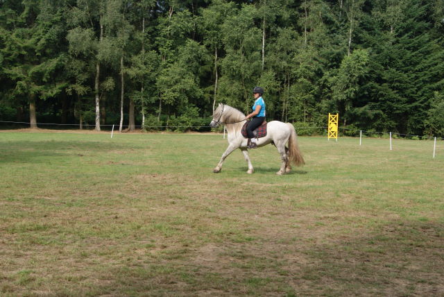 Dsc05720