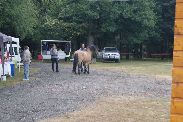 Dsc05730