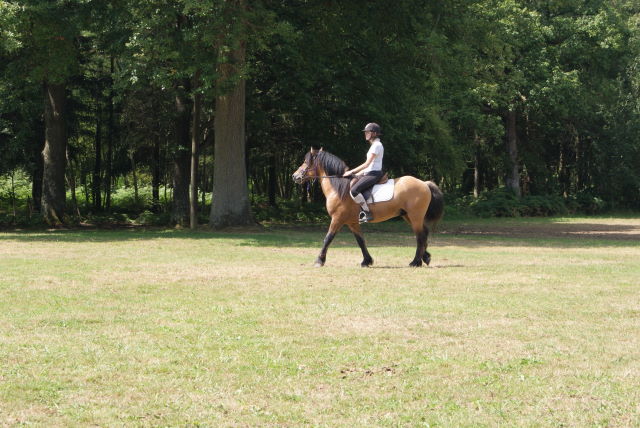 Dsc05768