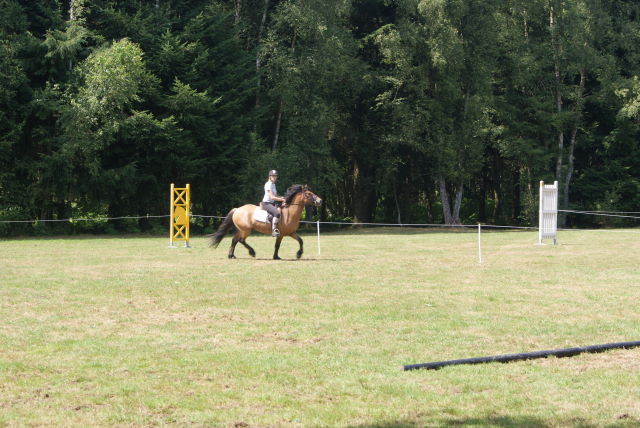 Dsc05775