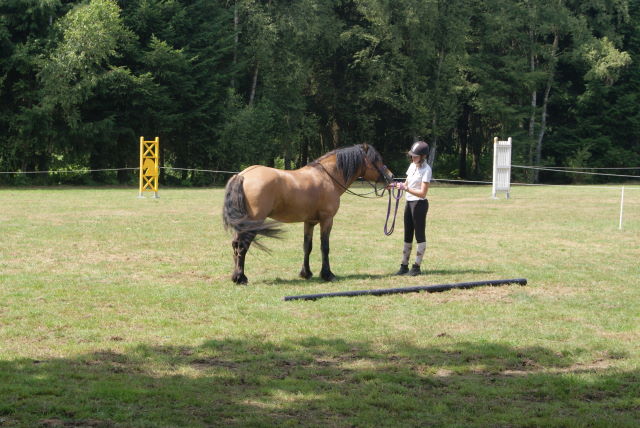 Dsc05780