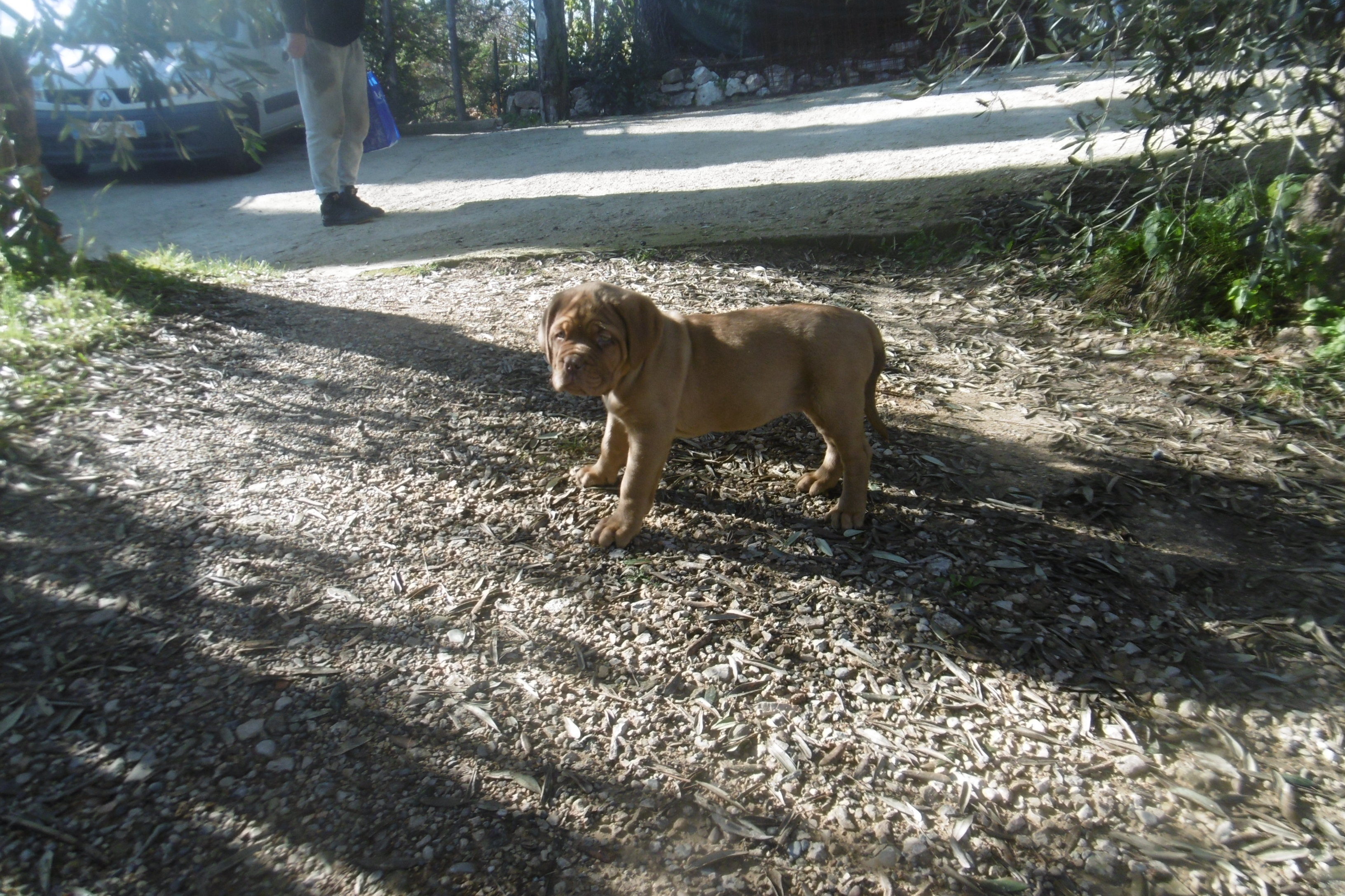 P1000823
