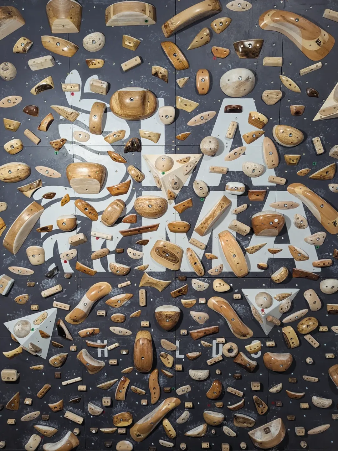 Snapinsta to 599246251 18071781041526164 2997063217071573143 n