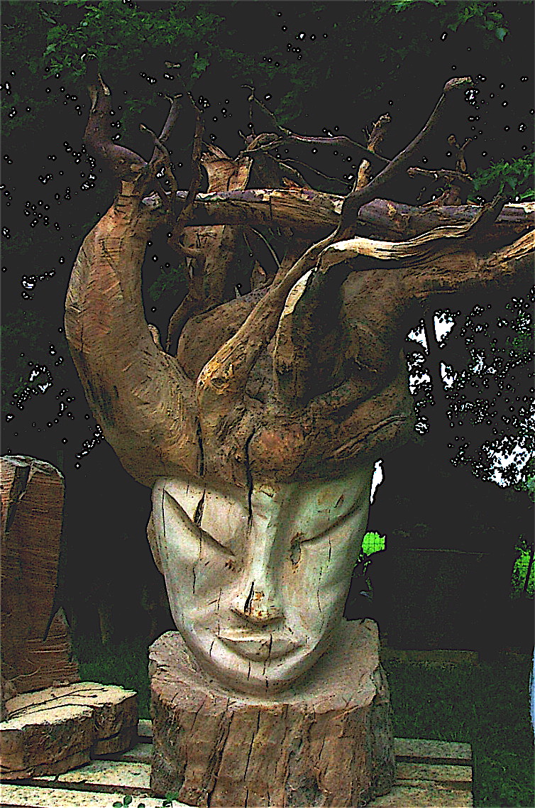 Dscf3943