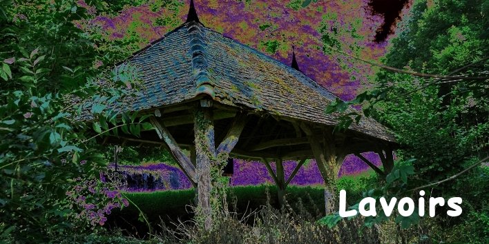 14770 DS2 3195w Titre