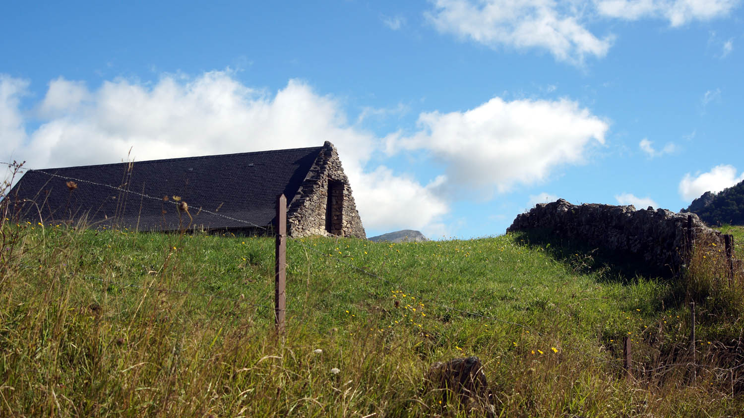 A16