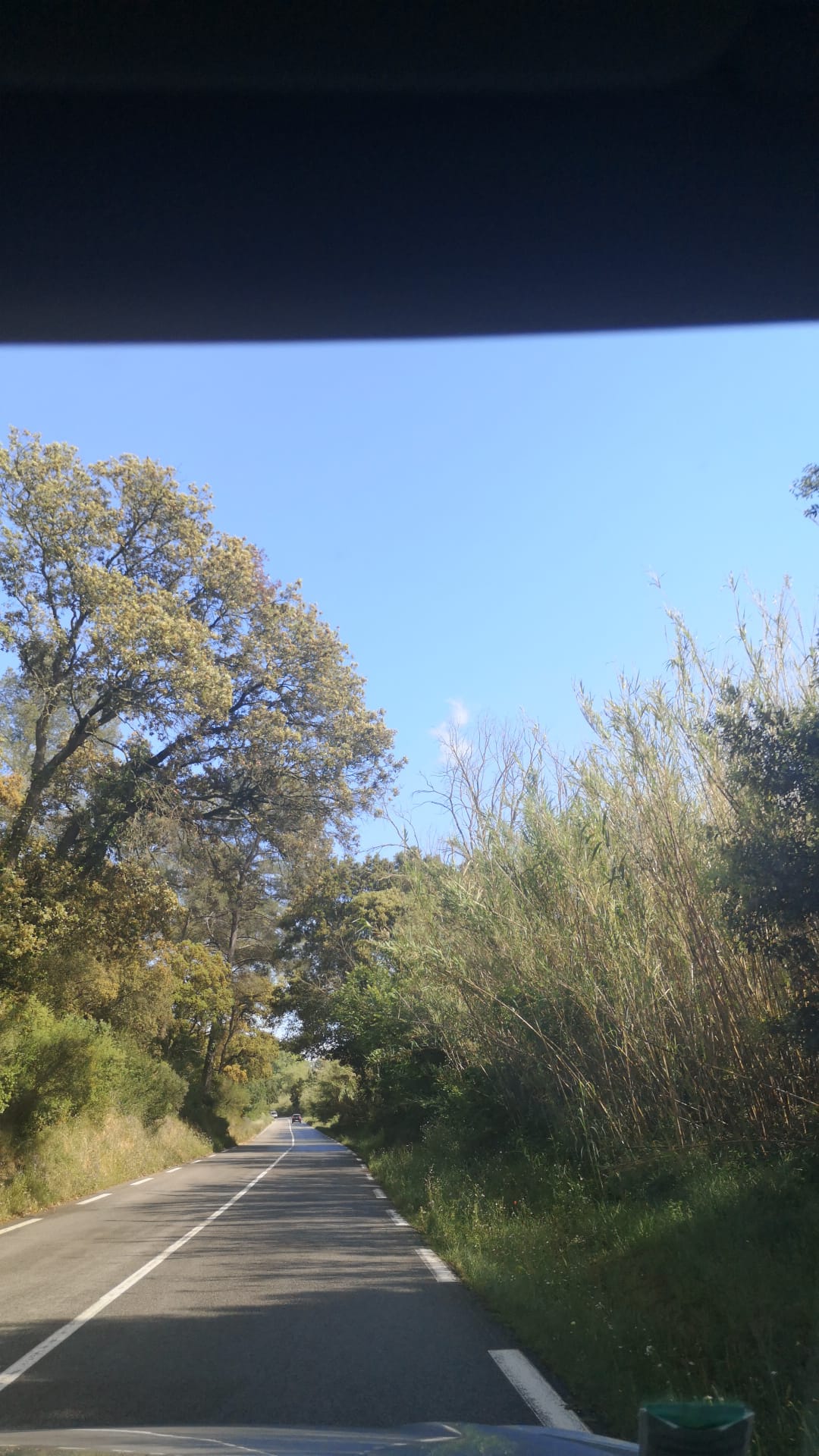Img 20230513 wa0019