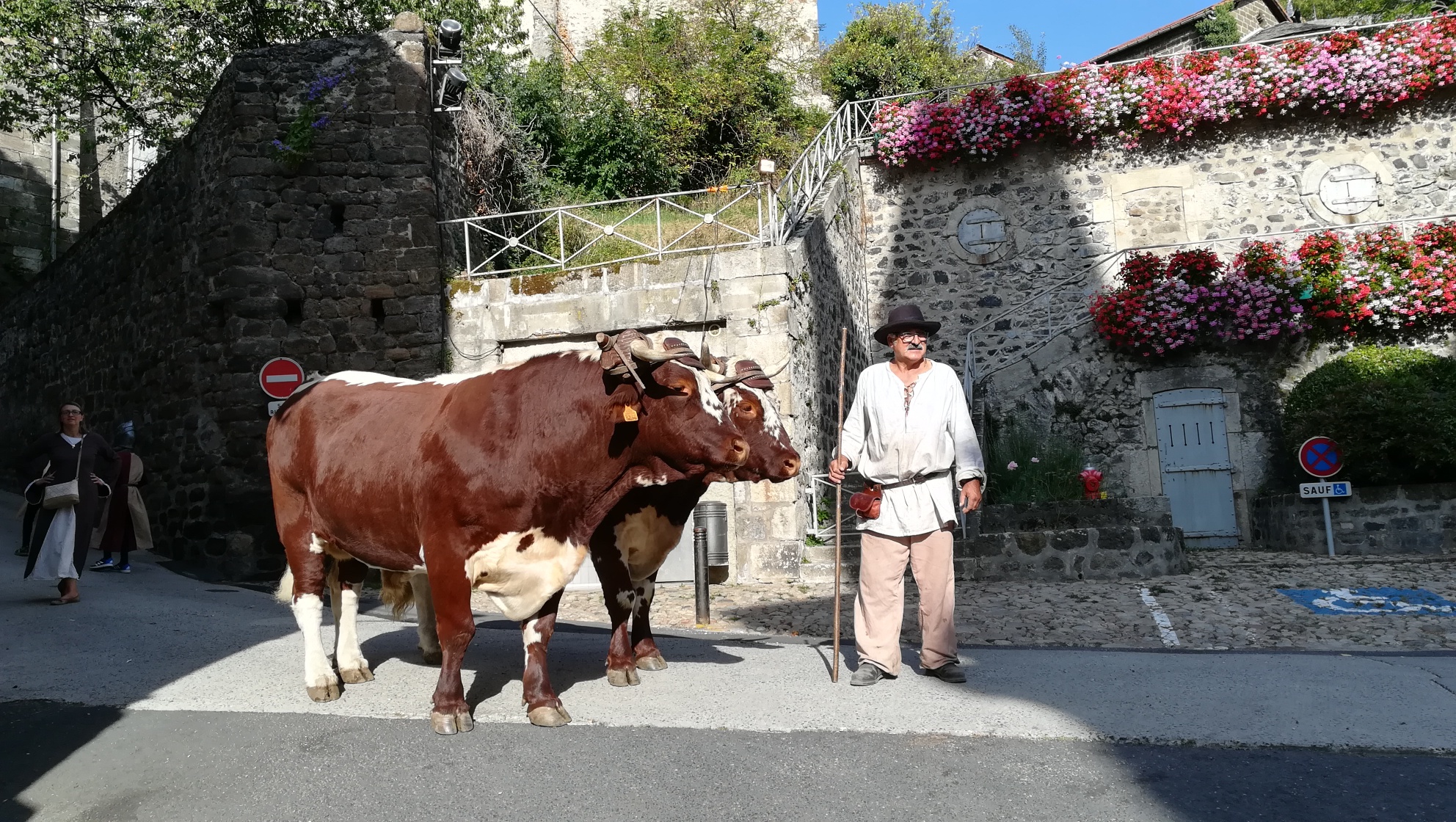 Img 20190921 102318 resized 20191006 050738130