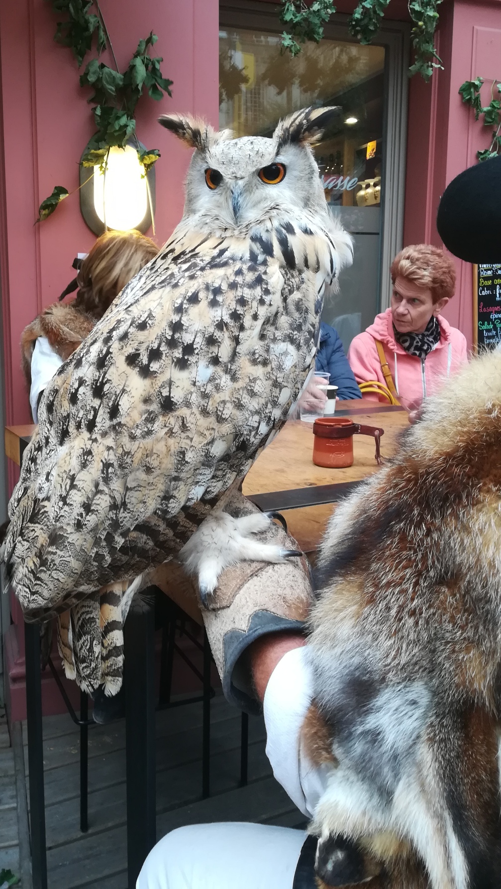 Img 20190921 193430 resized 20191006 045055478