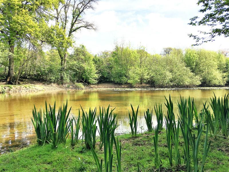 Parc domaine du chesne