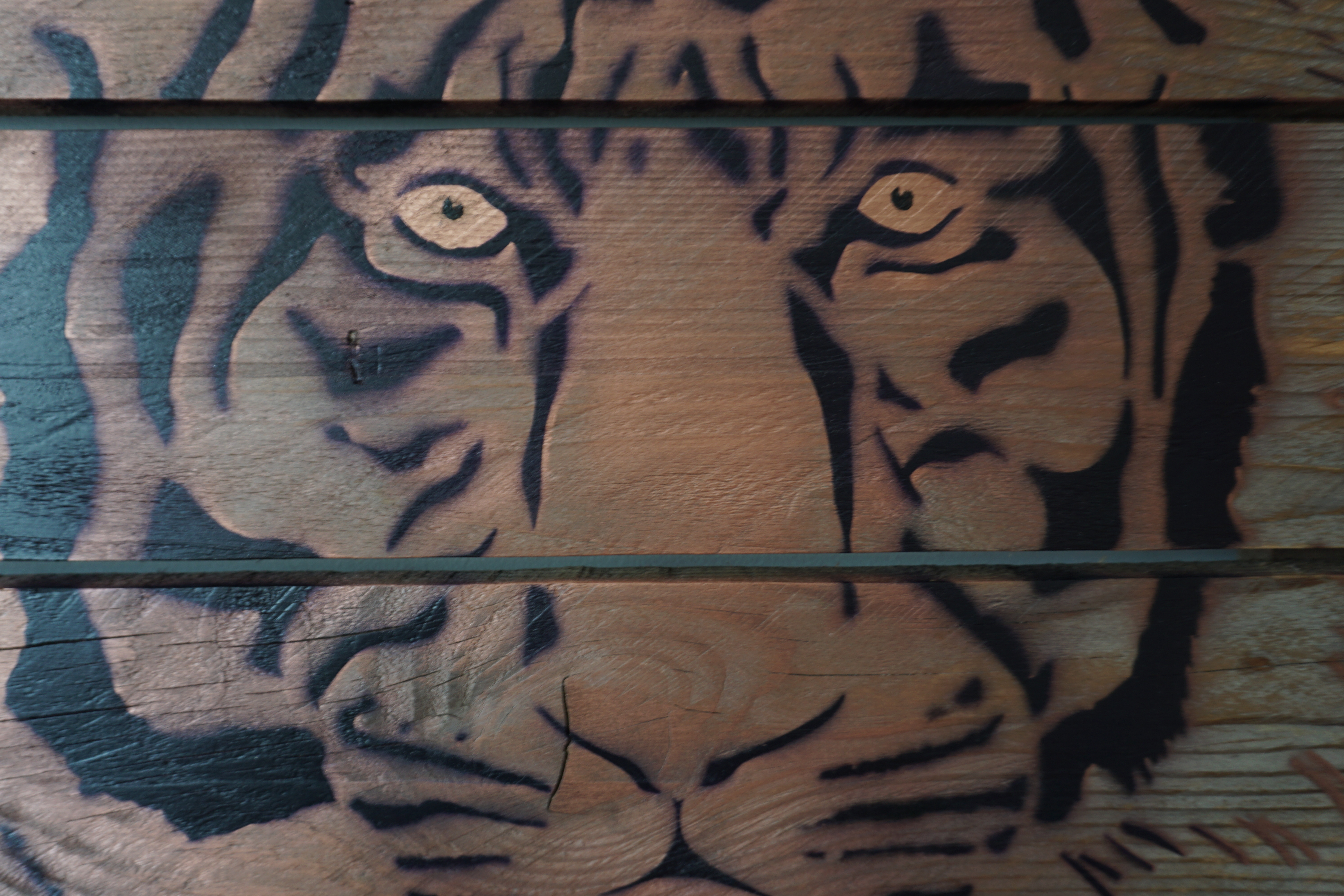 L oeil du tigre 1 