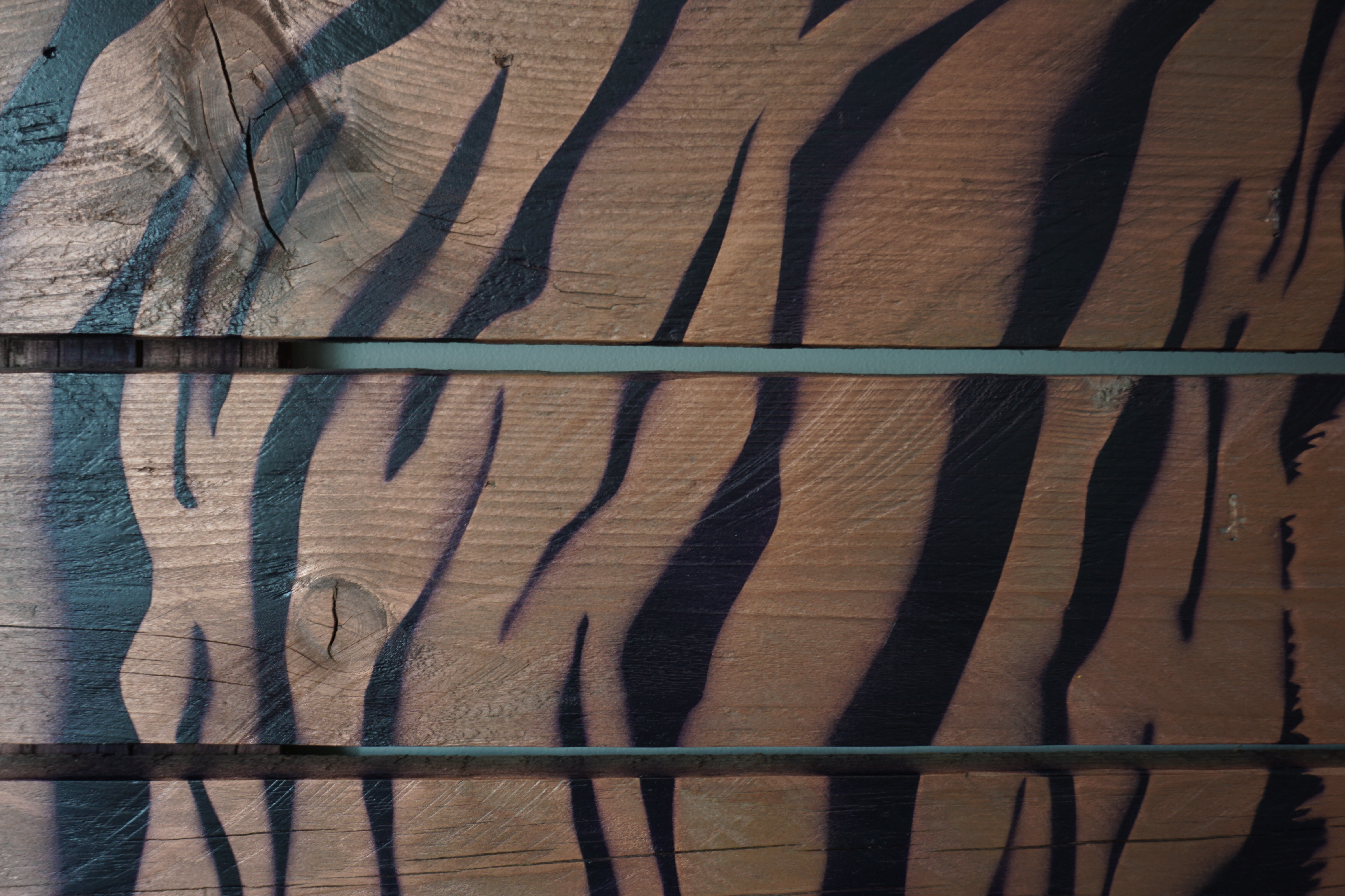 L oeil du tigre 4 