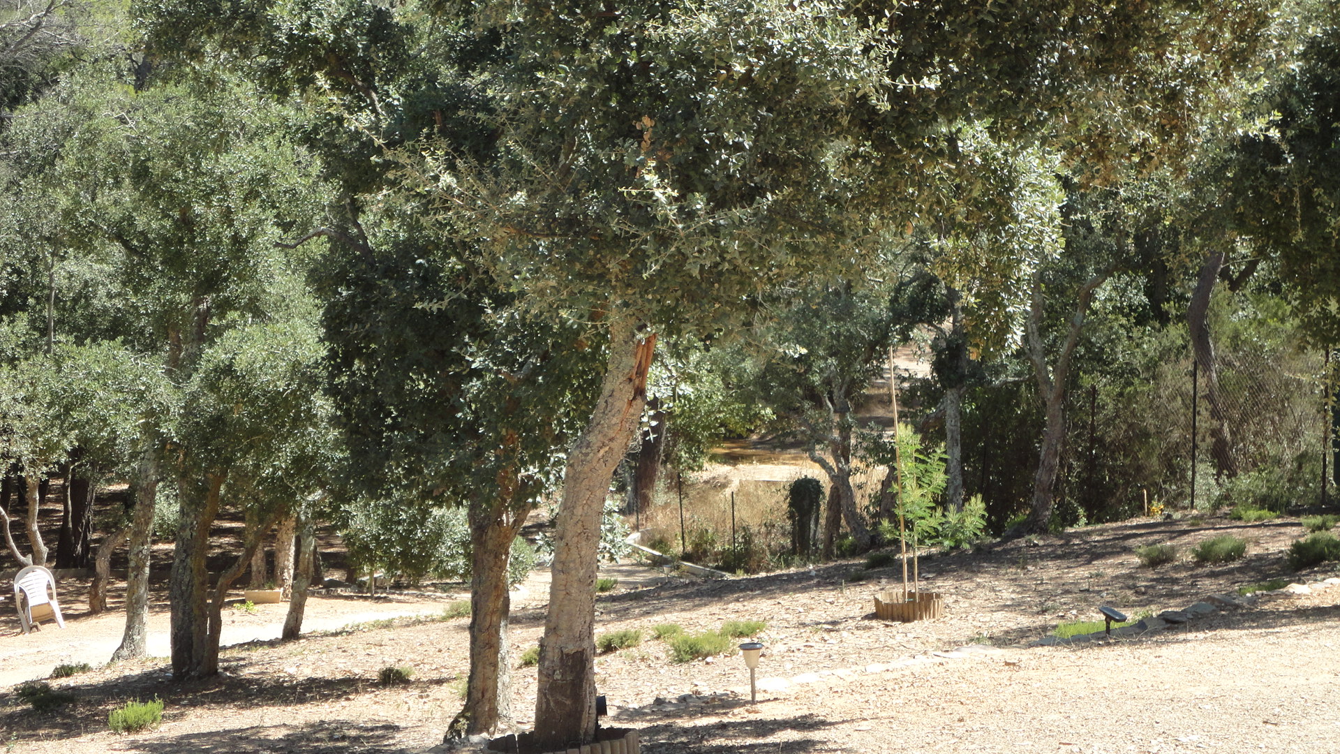 Dsc01735