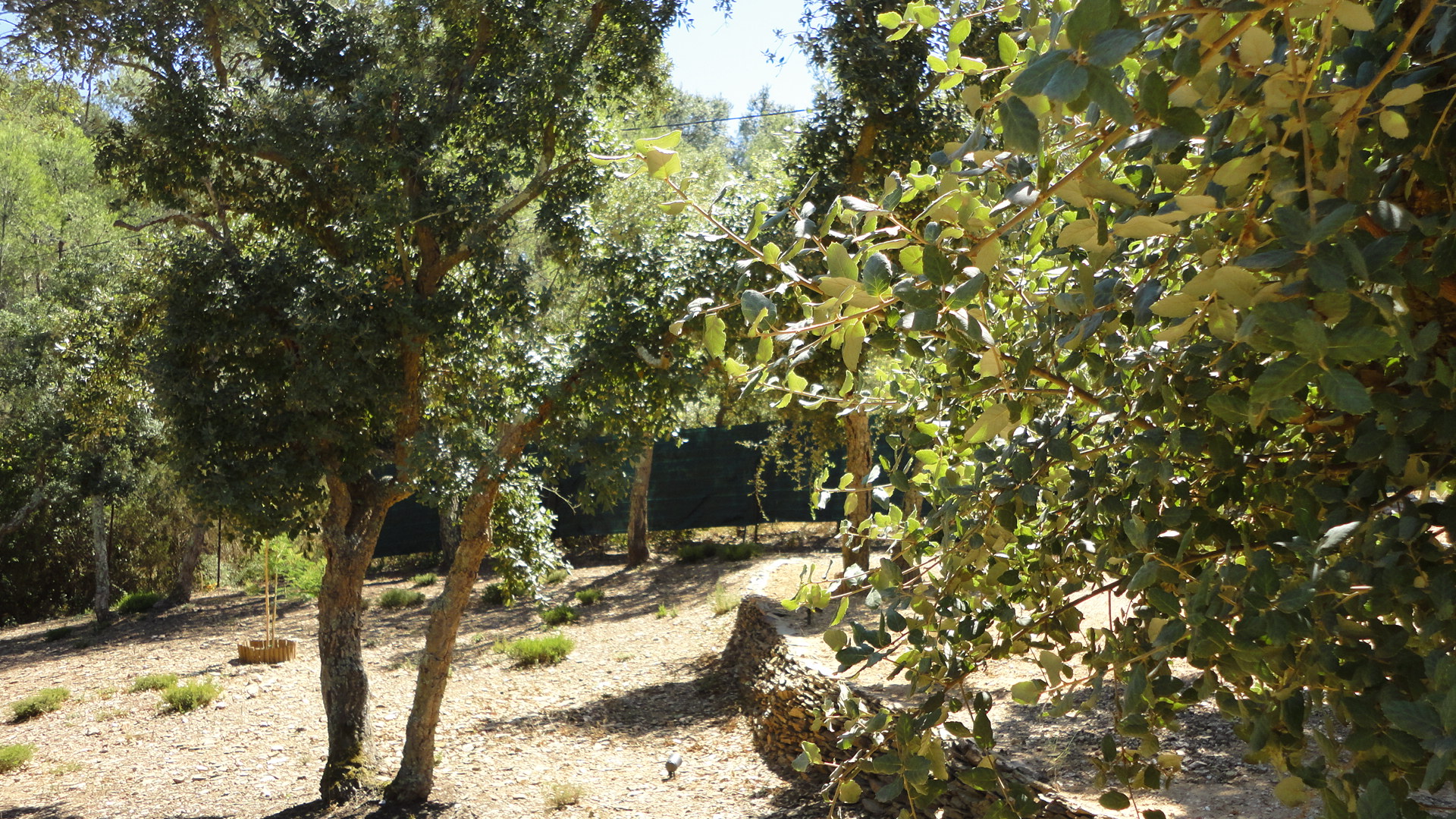 Dsc01737