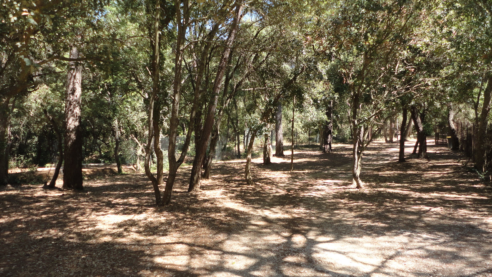 Dsc01741