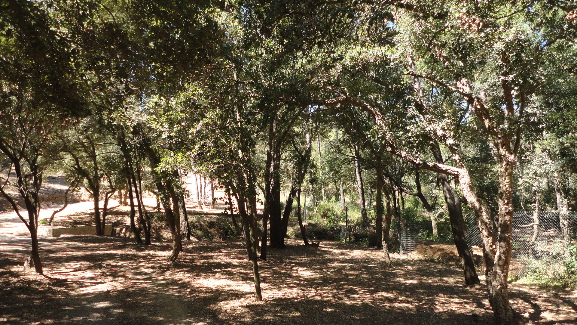 Dsc01744