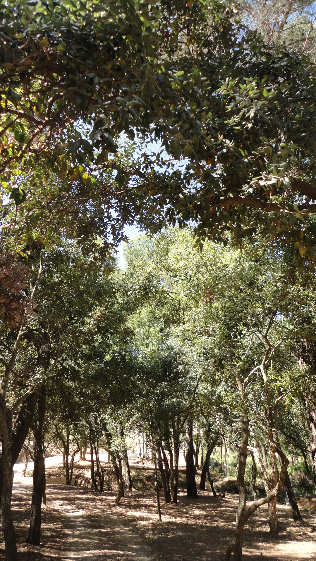 Dsc01745