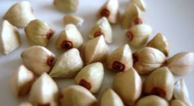 Images 6