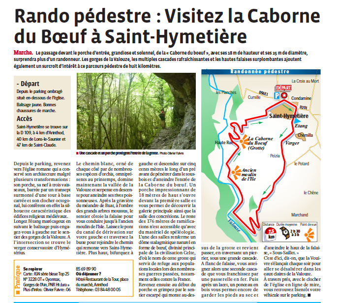Pe destre caborne du boeuf