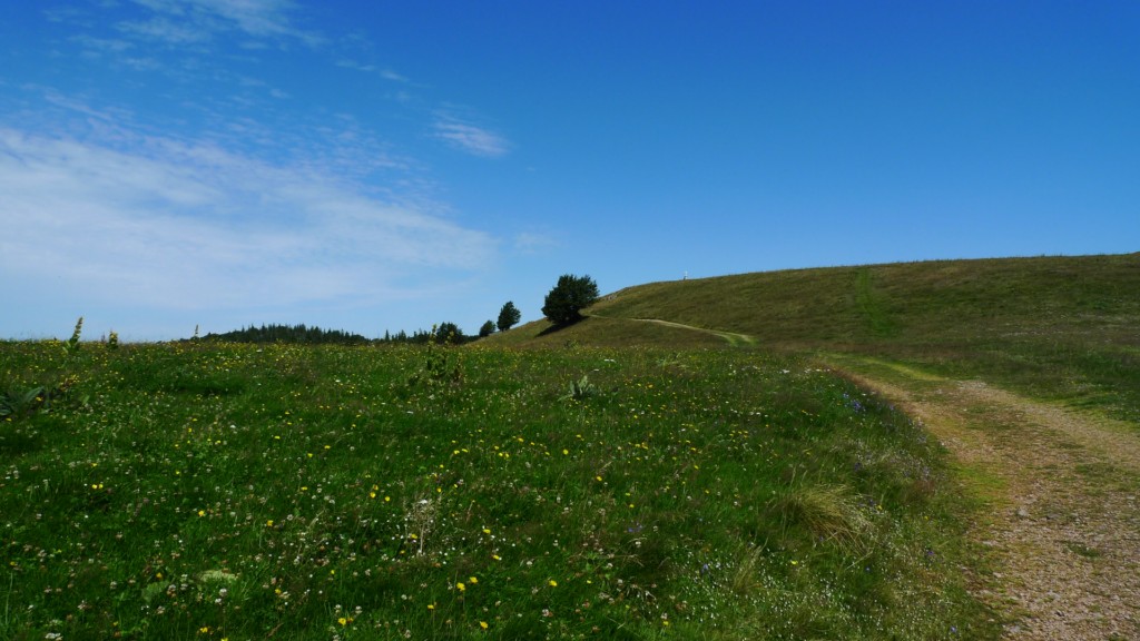 Zplain de la gentiane 2