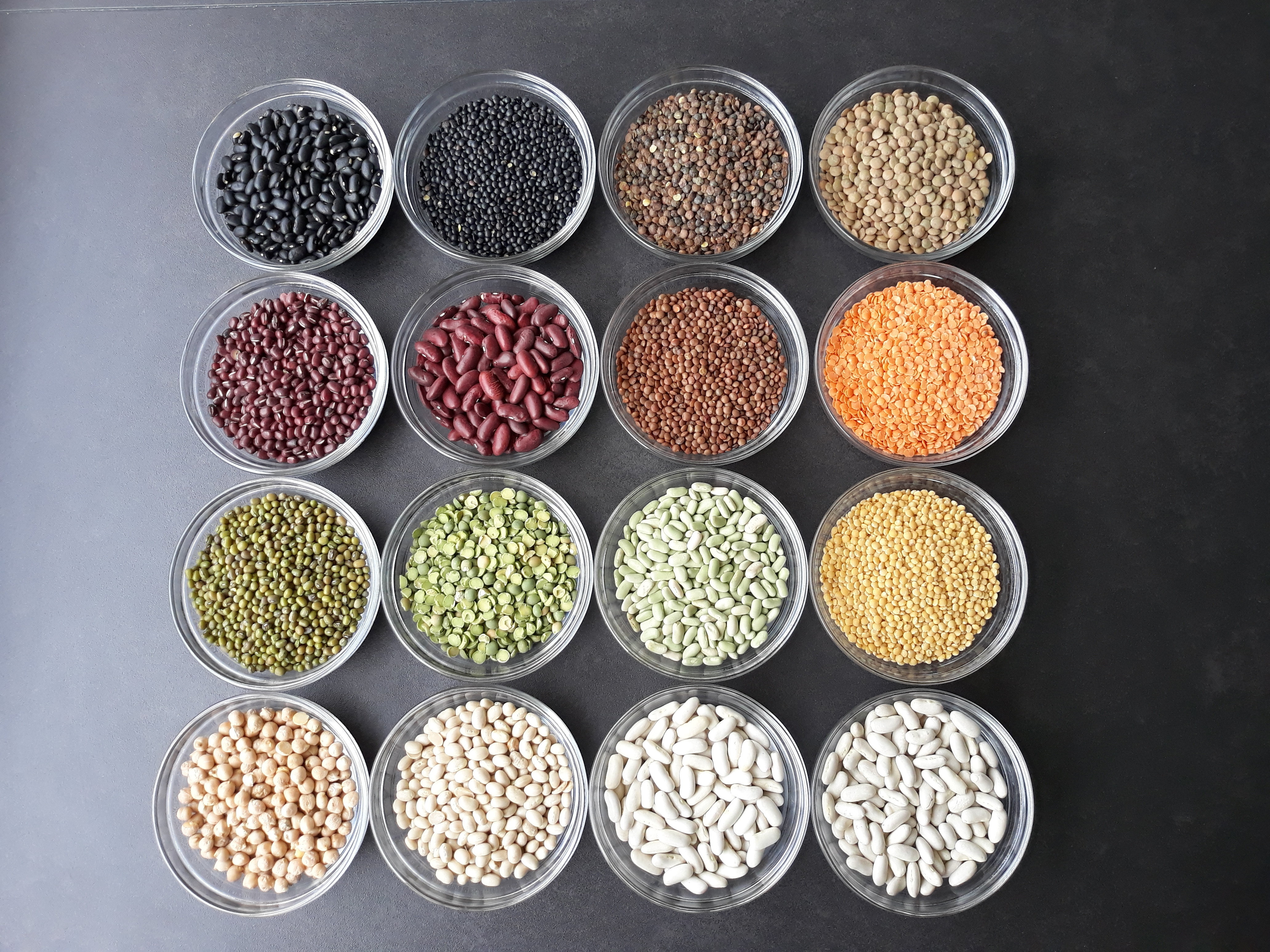Dégradé de couleurs de légumineuses pour agrémenter une publication sur les réseaux sociaux sur l'alimentation saine et sans gluten