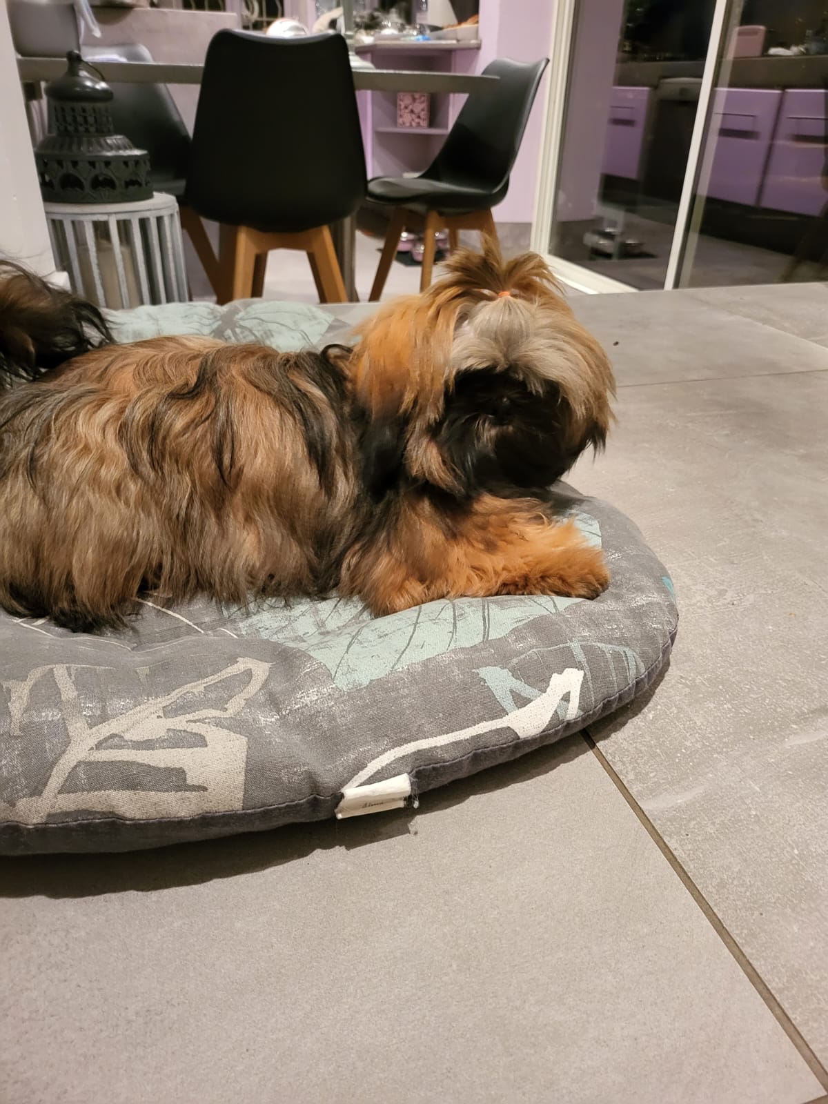 IMG-20221220-WA0001-1462-