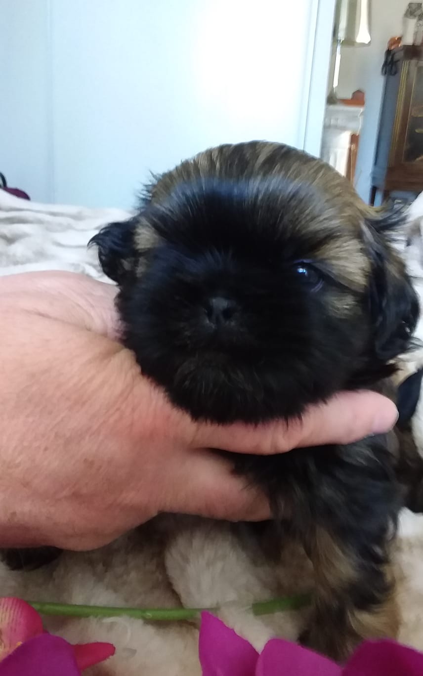 IMG-20220621-WA0008-1476-