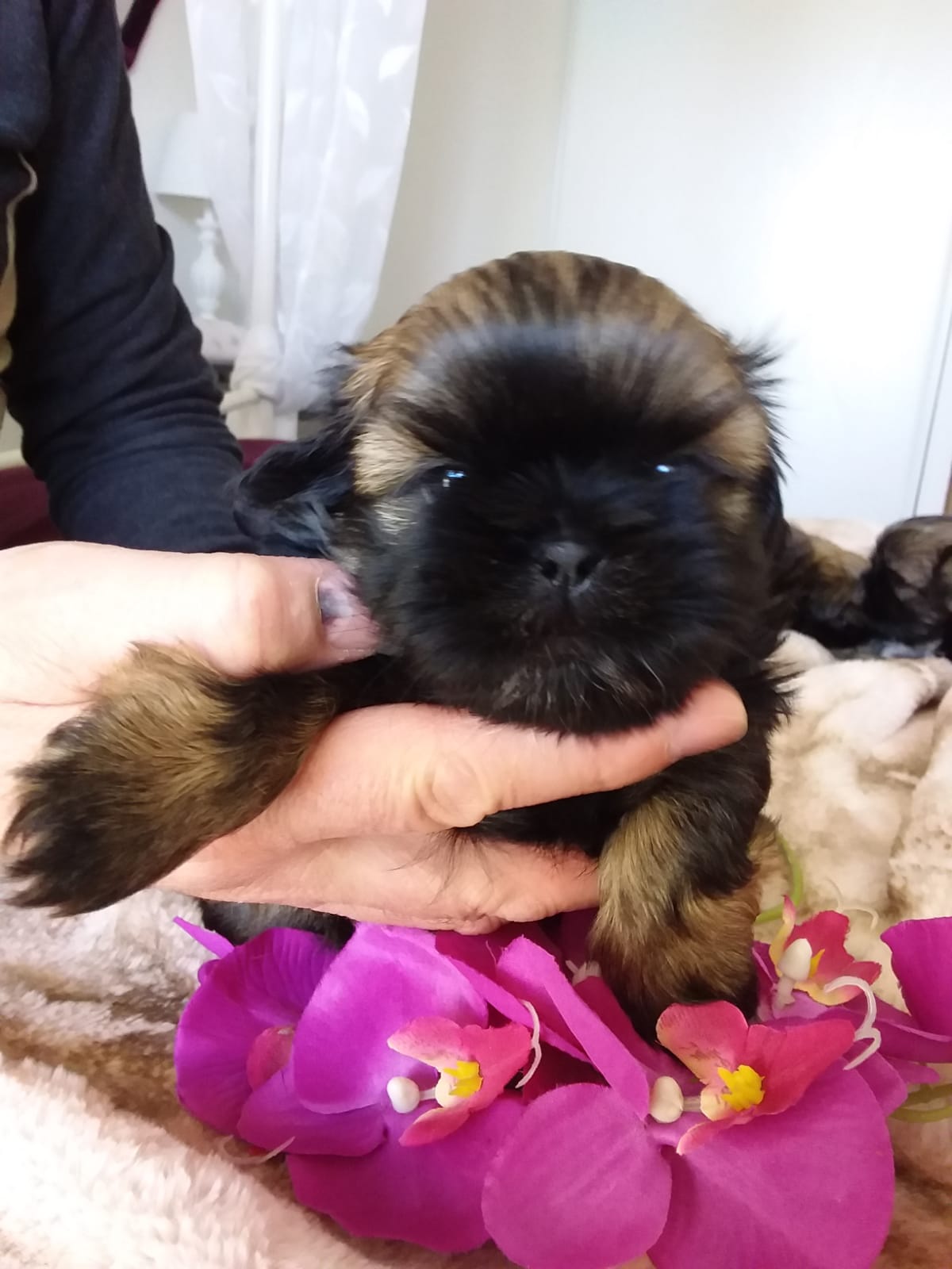 IMG-20220621-WA0006-1475-