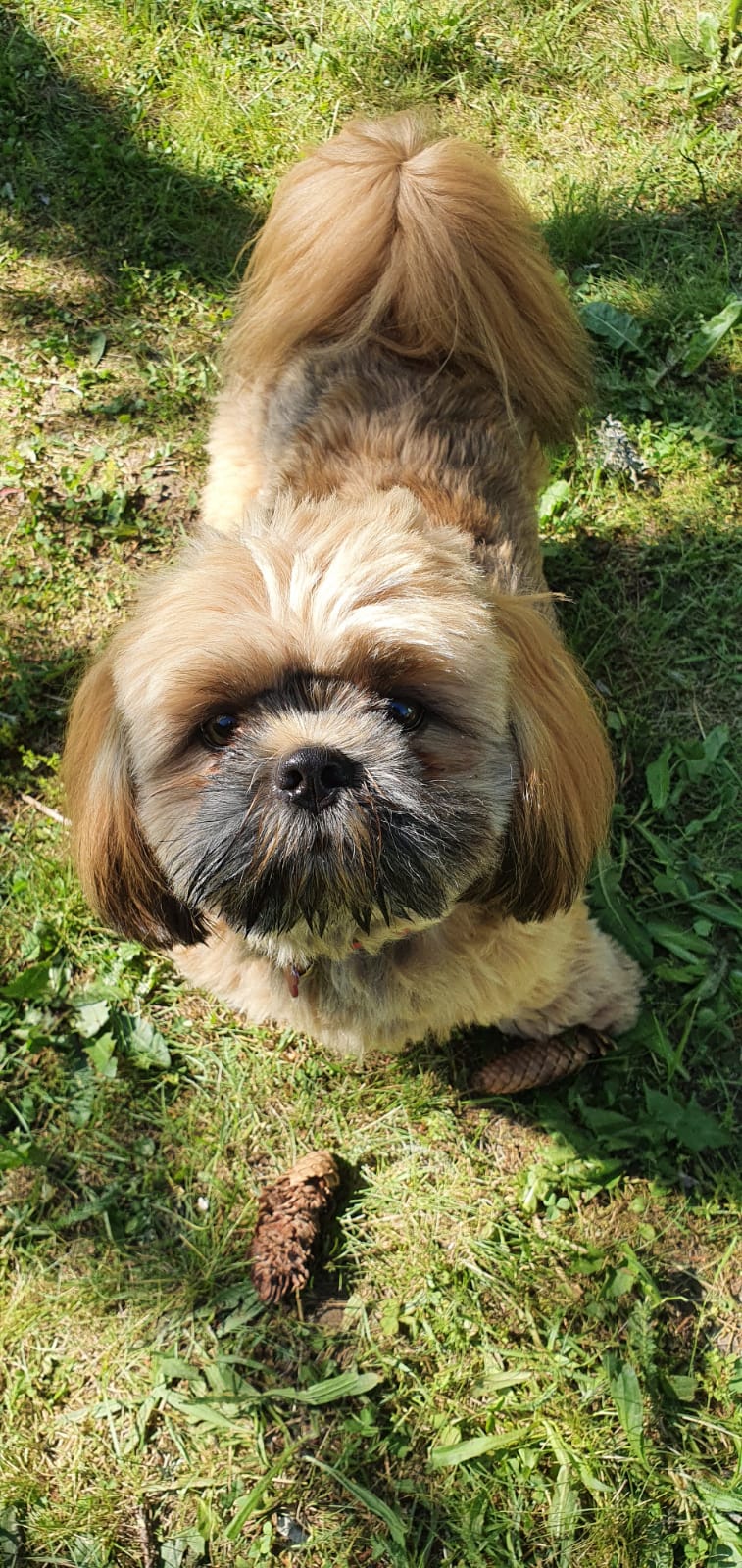 IMG-20210826-WA0001-1464-