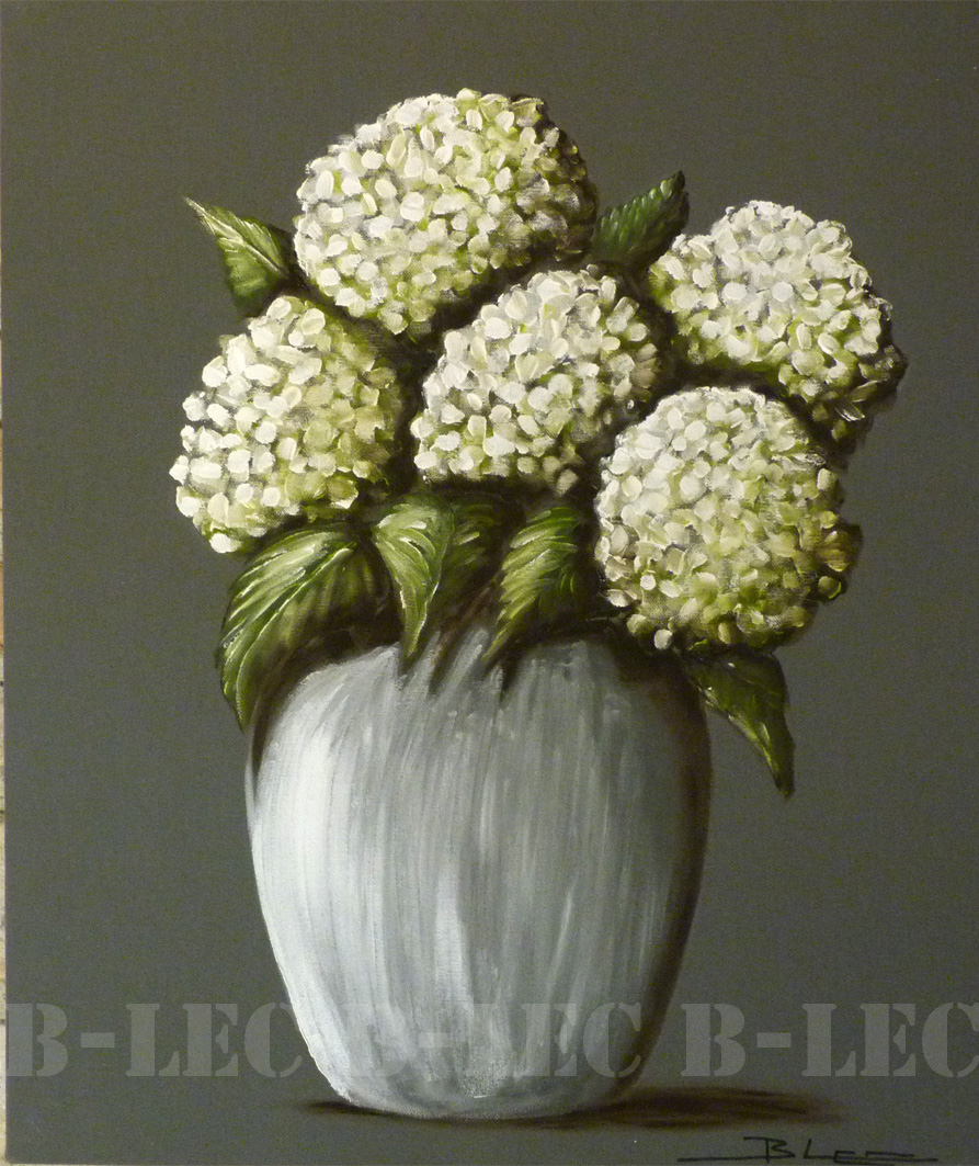 Hortensias blancs