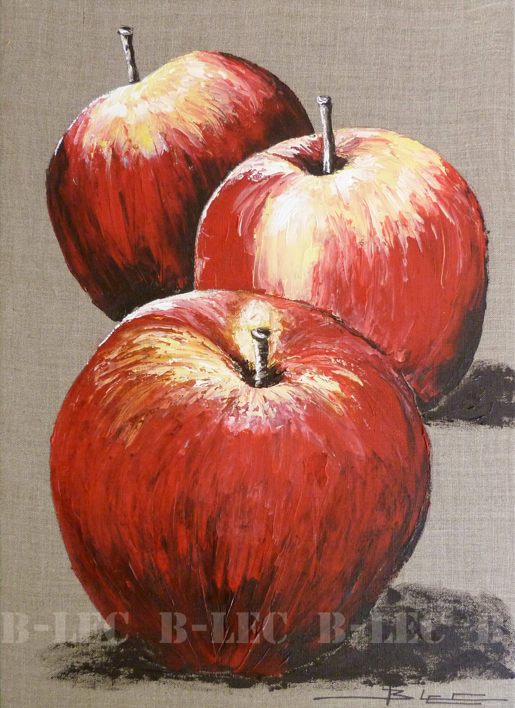 19095 50x70cm