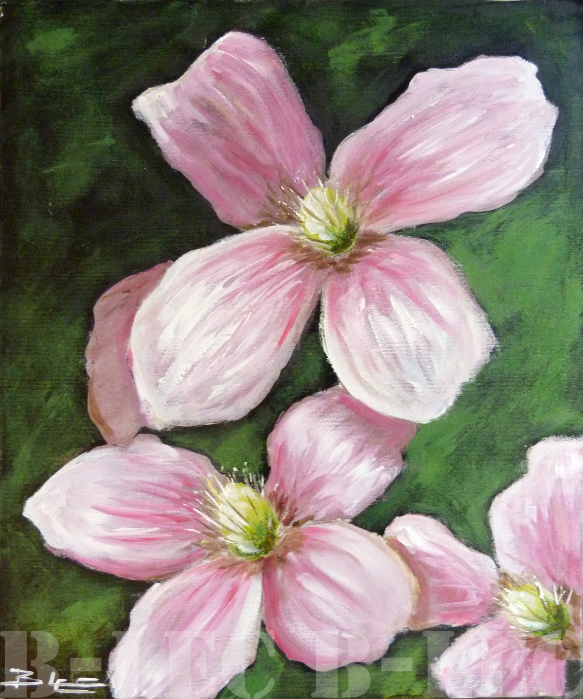50x40cm