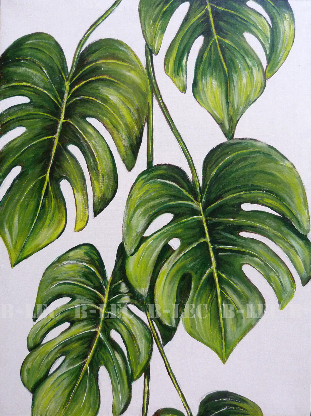 N20057 95x70cm