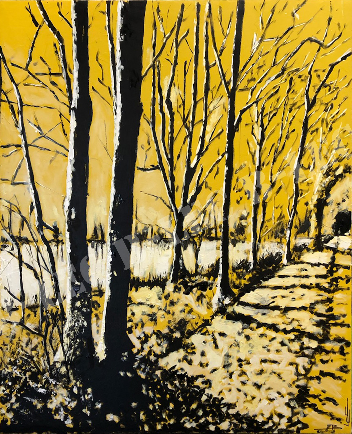 25002 100x80