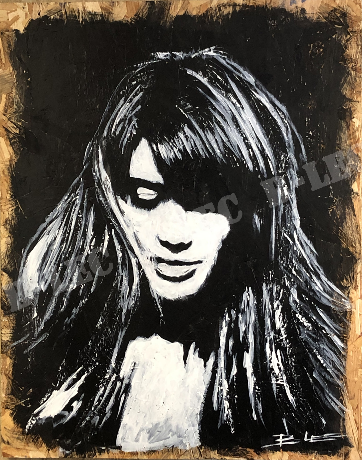 Francoise hardy 78x88