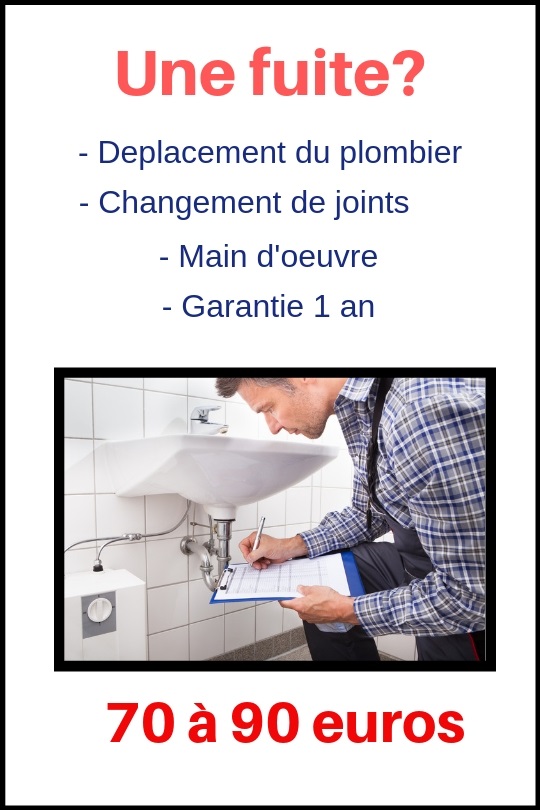 réparation fuite d'eau les lilas