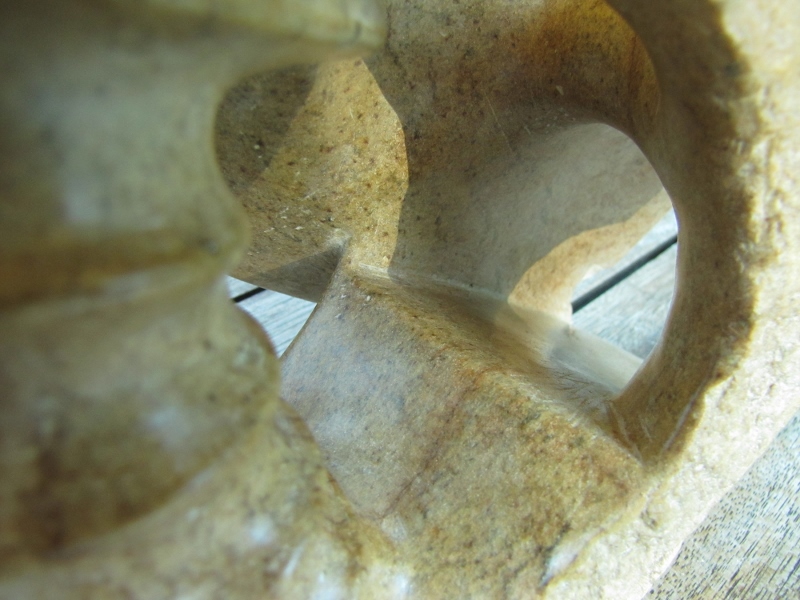 Licorne fossilisee 6 