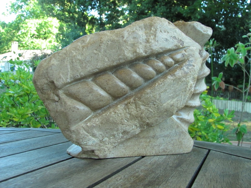 Licorne fossilisee 1 