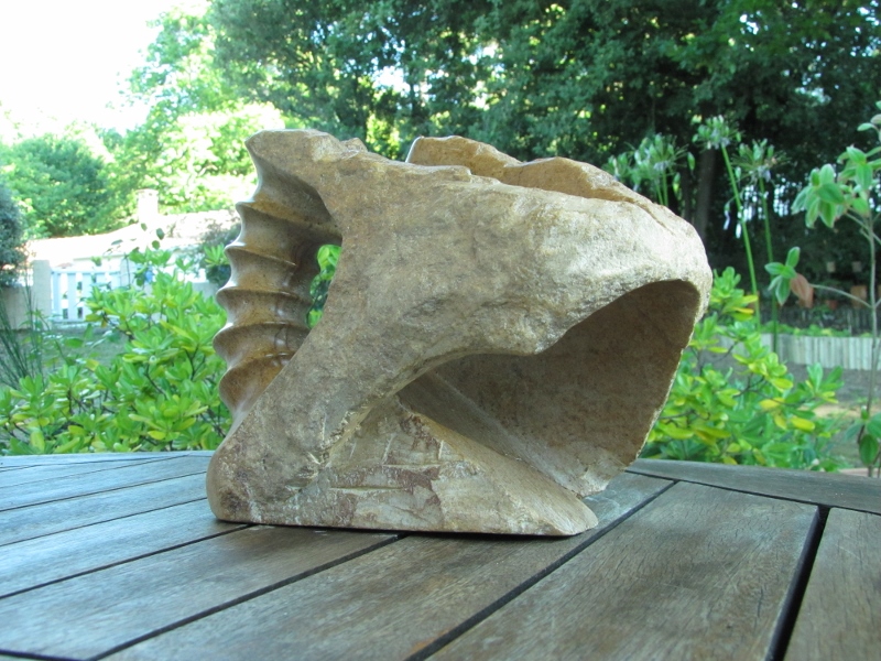 Licorne fossilisee 4 