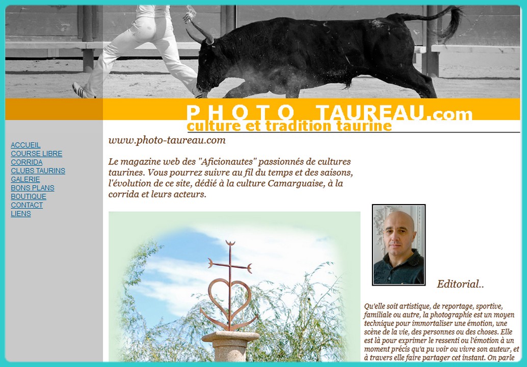 Photo taureaux