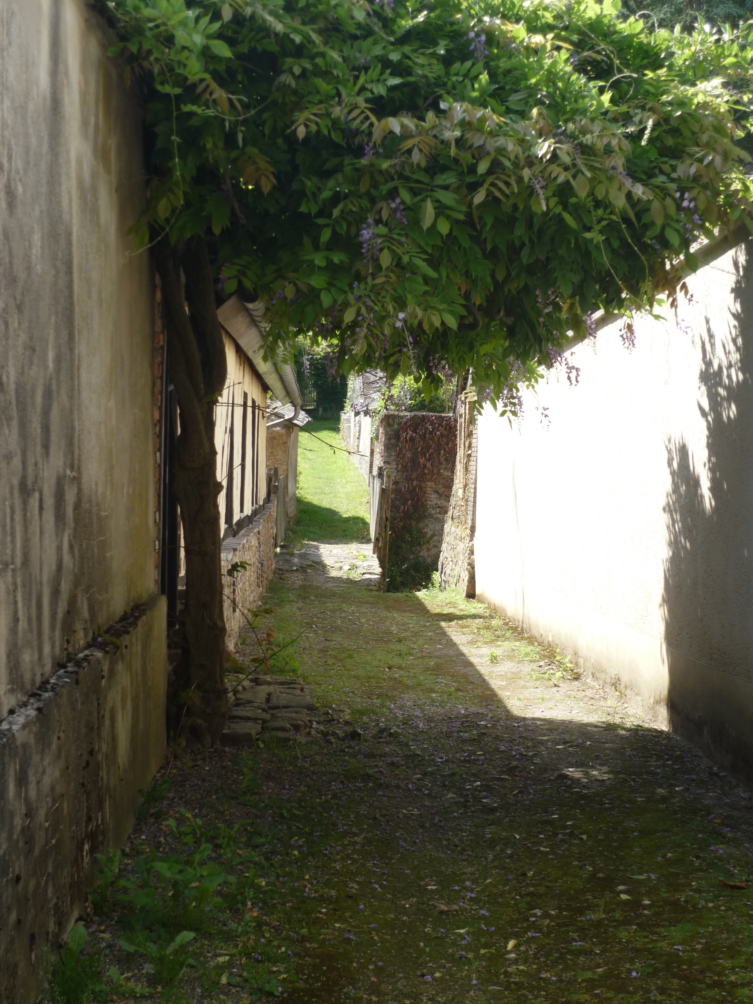 P1020549