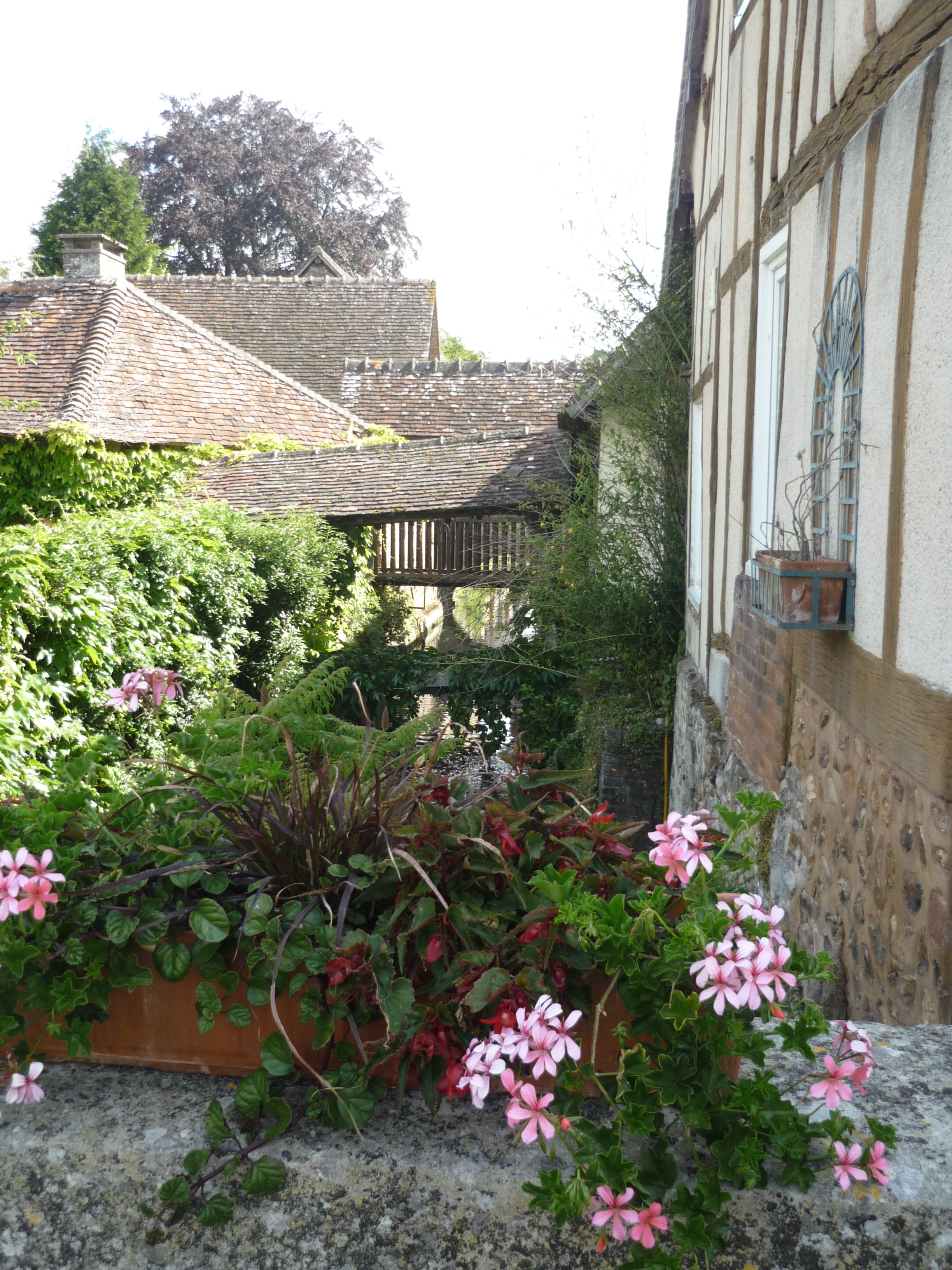 P1020555
