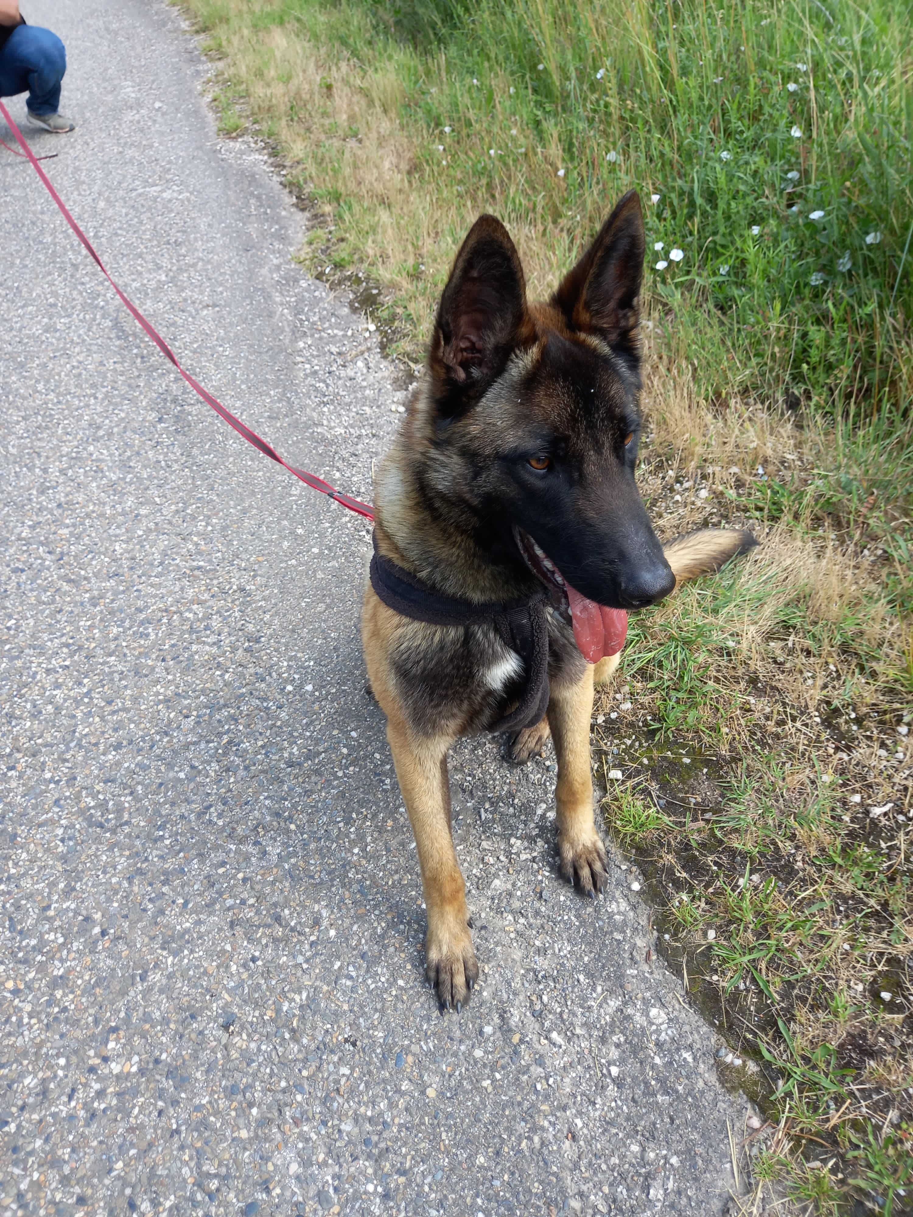 Whatsapp image 2025 06 09 at 18 05 44