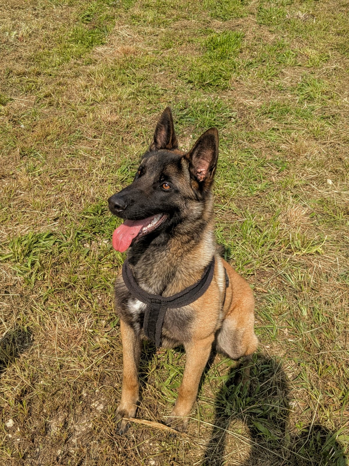 Whatsapp image 2025 06 06 at 18 40 32