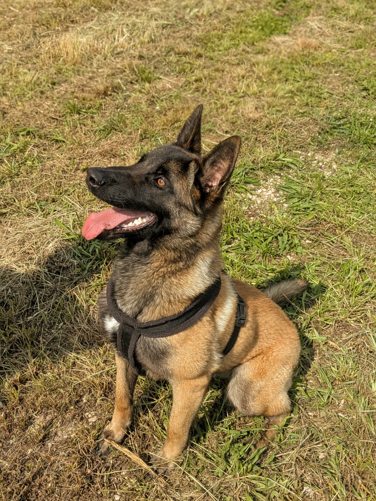 Whatsapp image 2025 06 06 at 18 40 32 2 