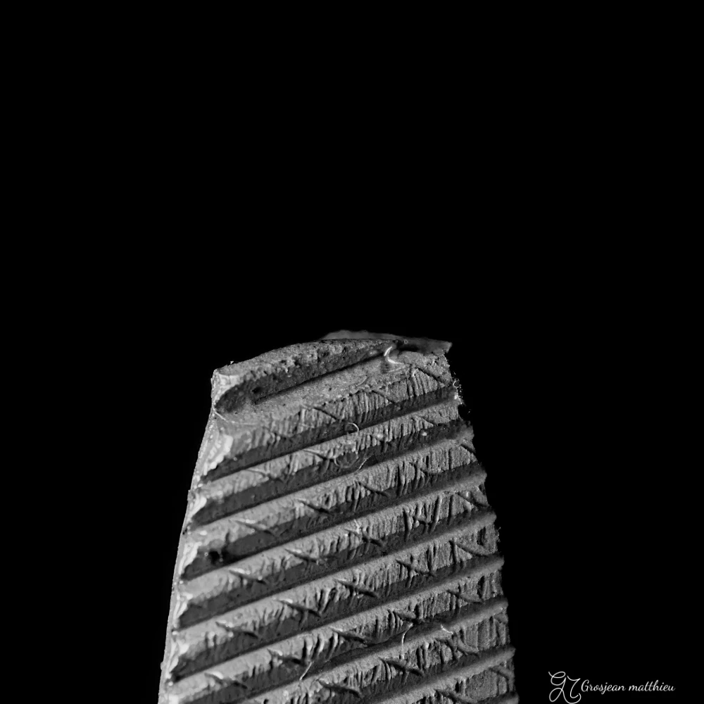 Limes les defauts 01