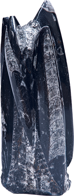 Depositphotos 149753456 XL