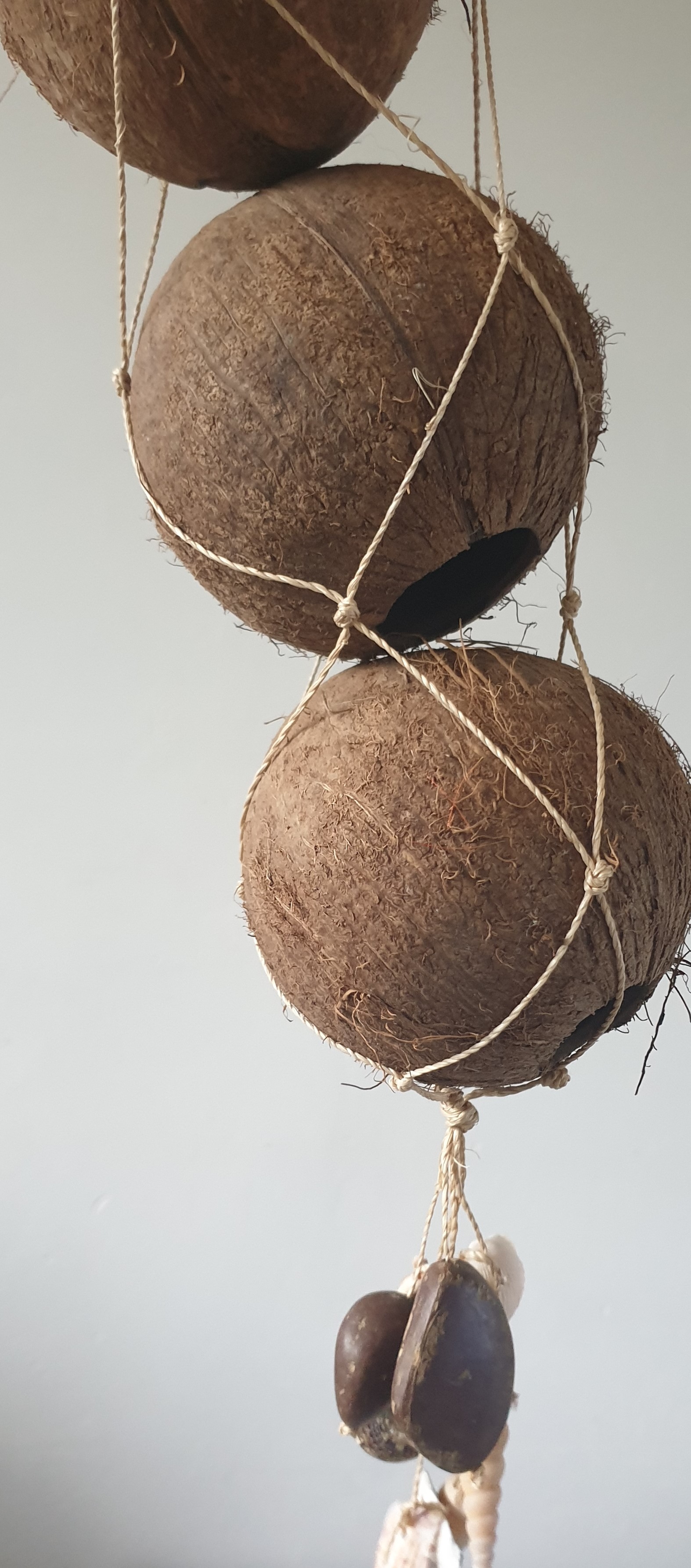 Suspension noix de coco