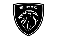 Cle voiture auto peugeot