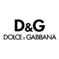 DG logo